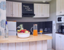 cabinet, indoor, kitchen, home appliance, vase, food, sink, countertop, counter